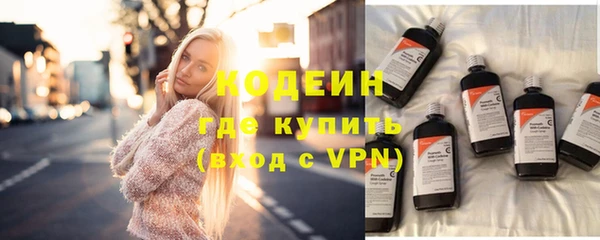 индика Карпинск