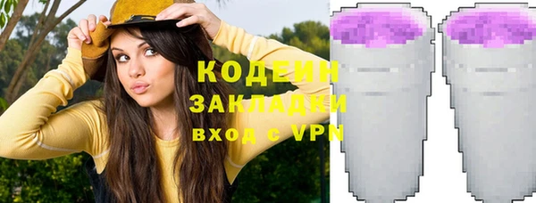 индика Карпинск