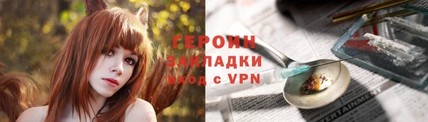 индика Карпинск