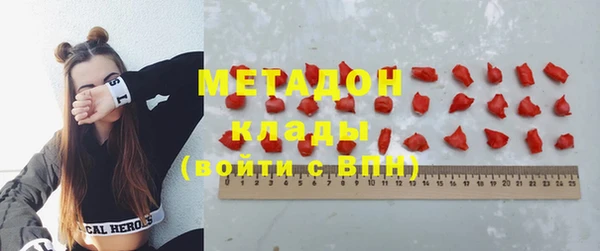 индика Карпинск