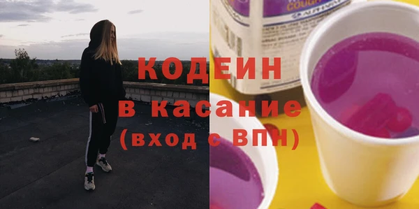 индика Карпинск