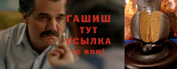 индика Карпинск