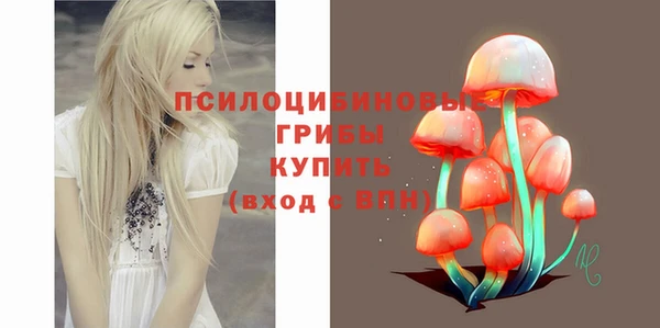 ALPHA-PVP Карталы