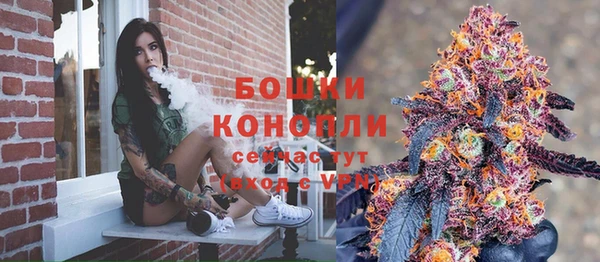 индика Карпинск