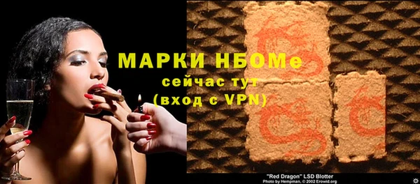 индика Карпинск