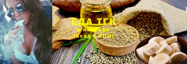 индика Карпинск