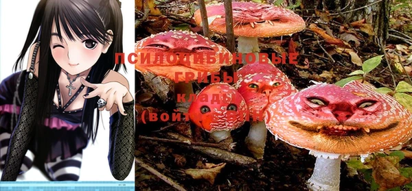 гашишное масло Касимов