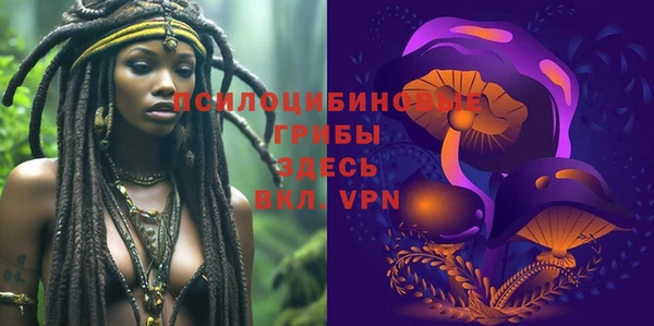 индика Карпинск