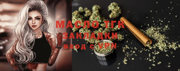 индика Карпинск