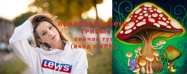 индика Карпинск