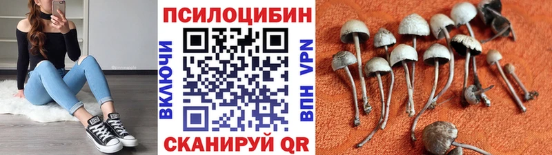 Купить где  Кинель  Псилоцибиновые грибы ЛСД 